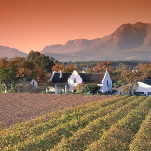 Cape Winelands Tour