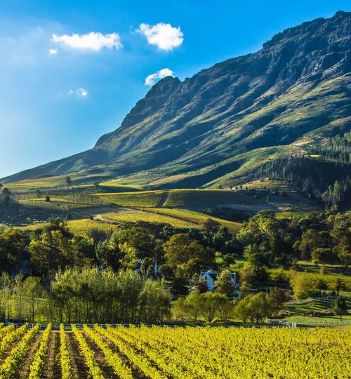 cape-winelands-south-africa